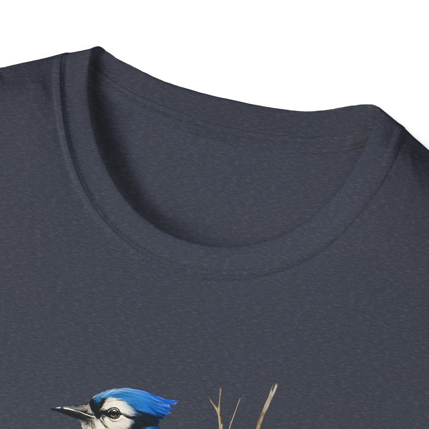 Blue Jay Portrait