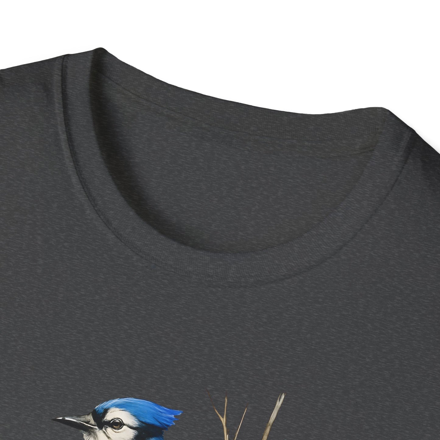 Blue Jay Portrait