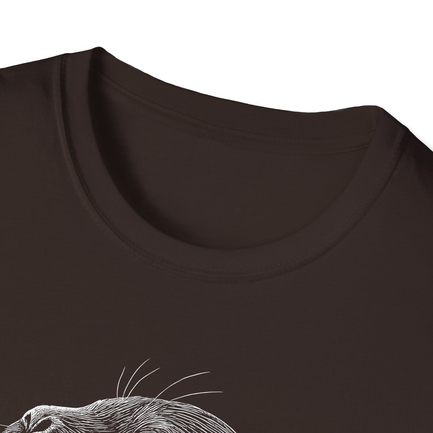 Sea Lion Portrait
