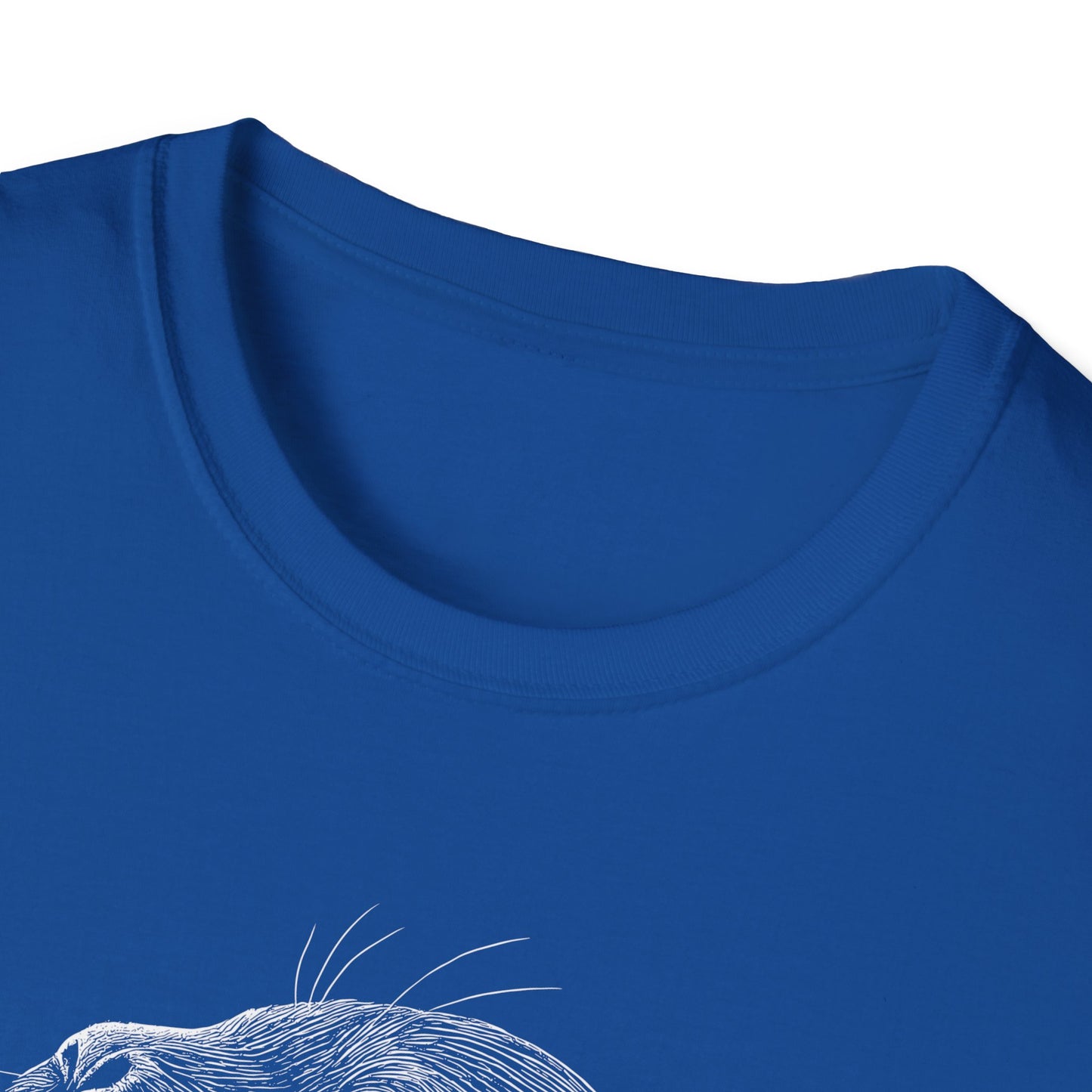 Sea Lion Portrait