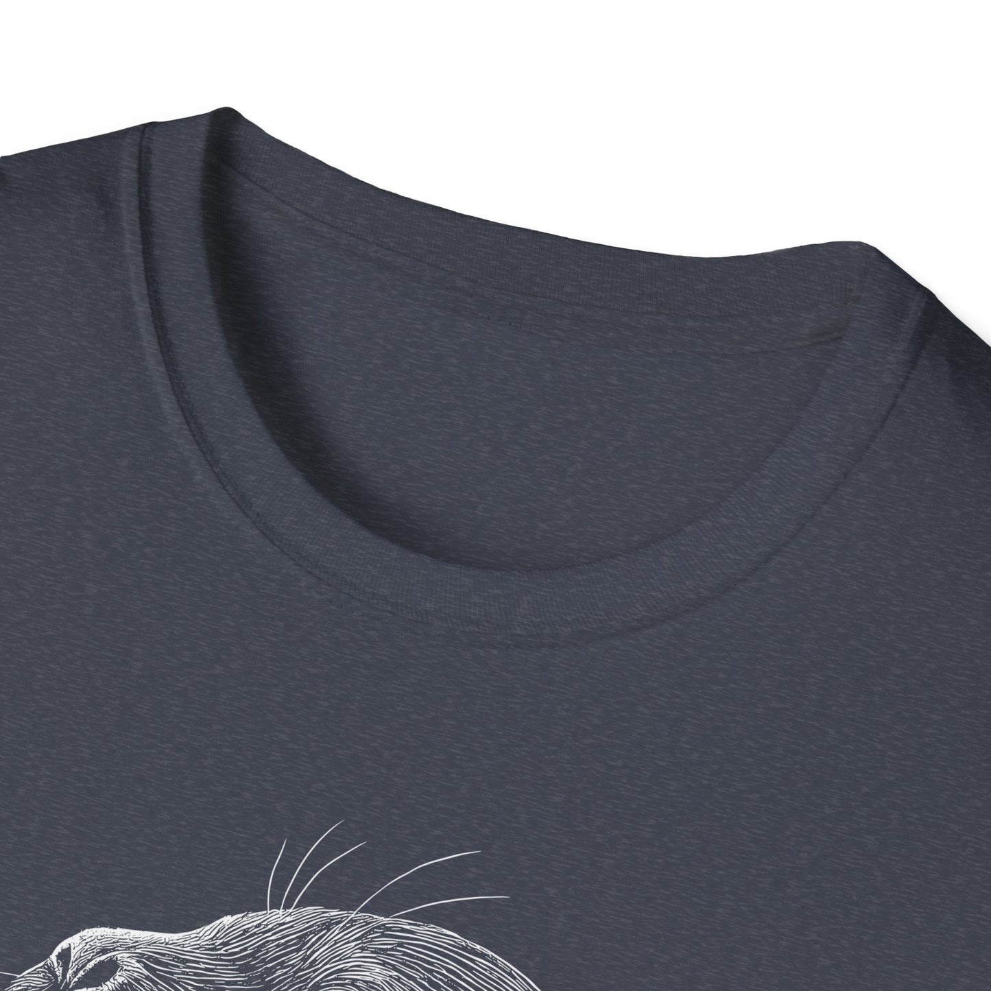 Sea Lion Portrait