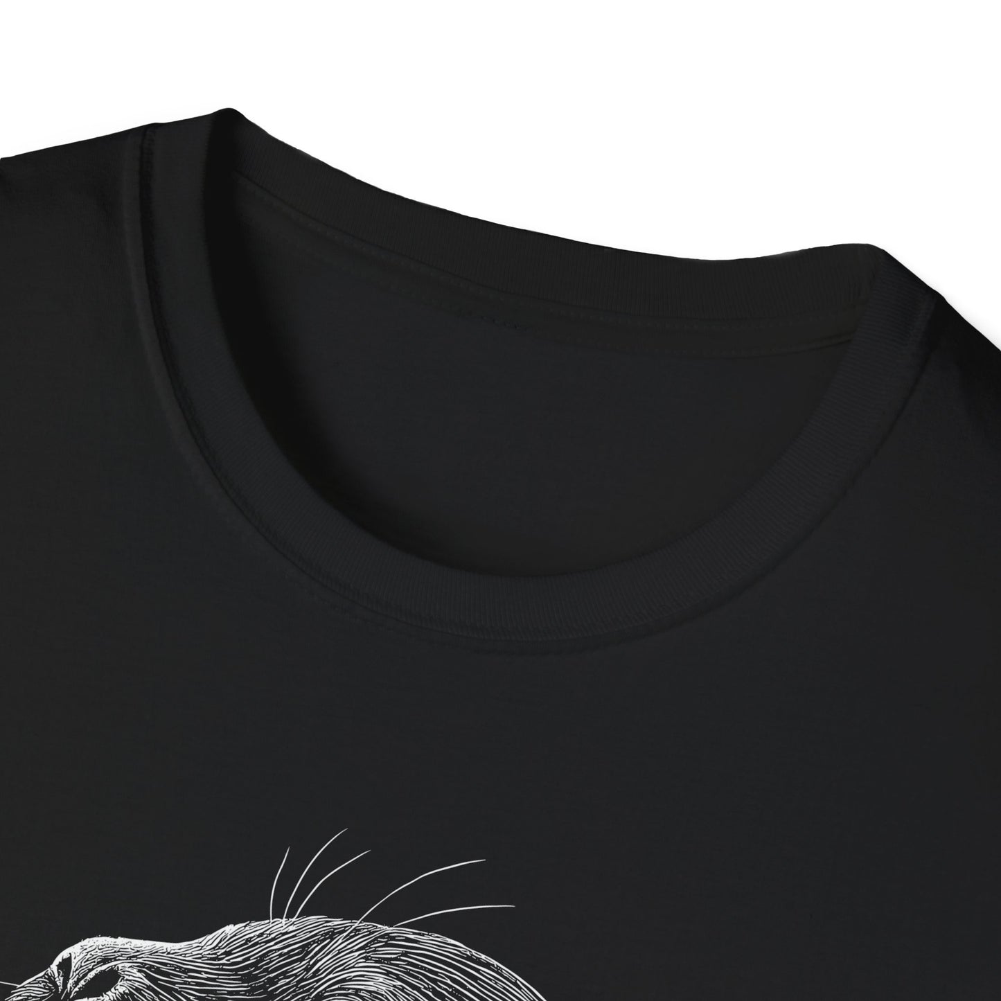 Sea Lion Portrait
