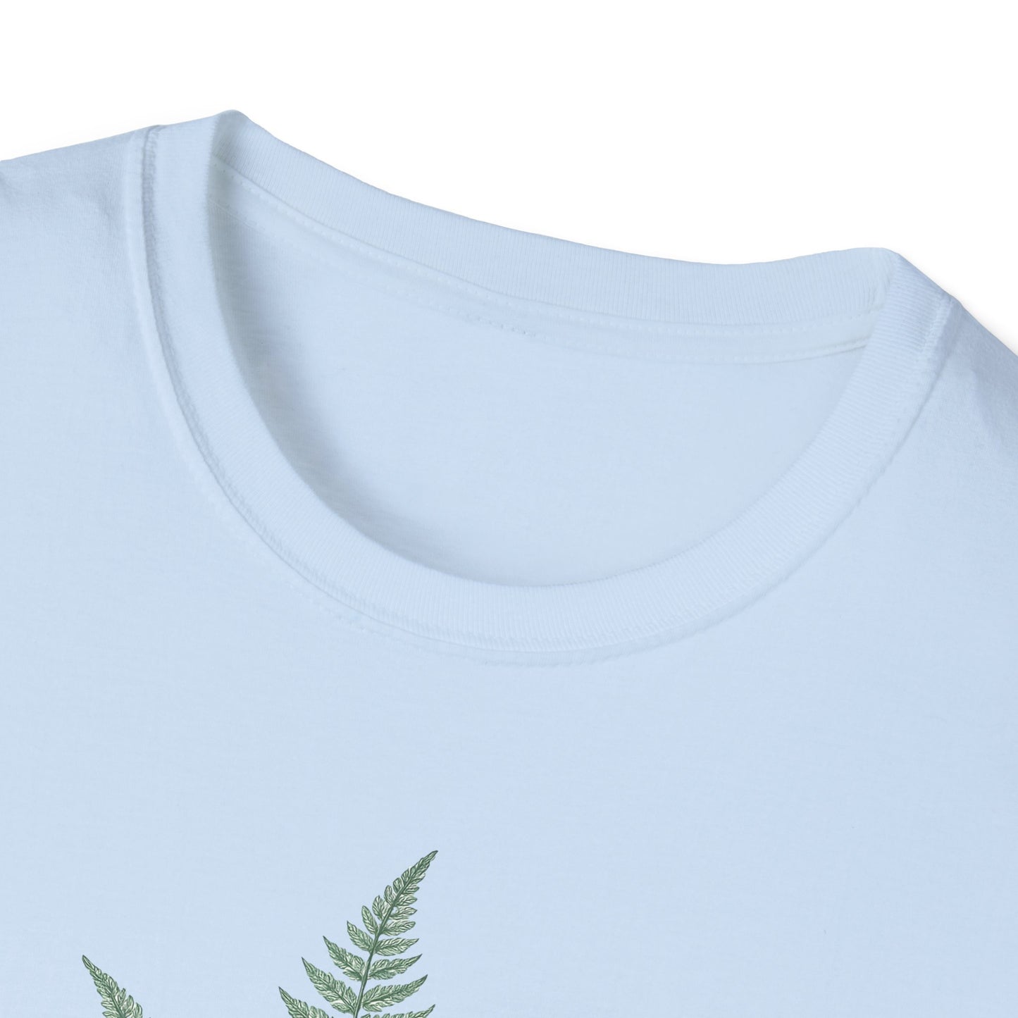 Three Fern Leaves