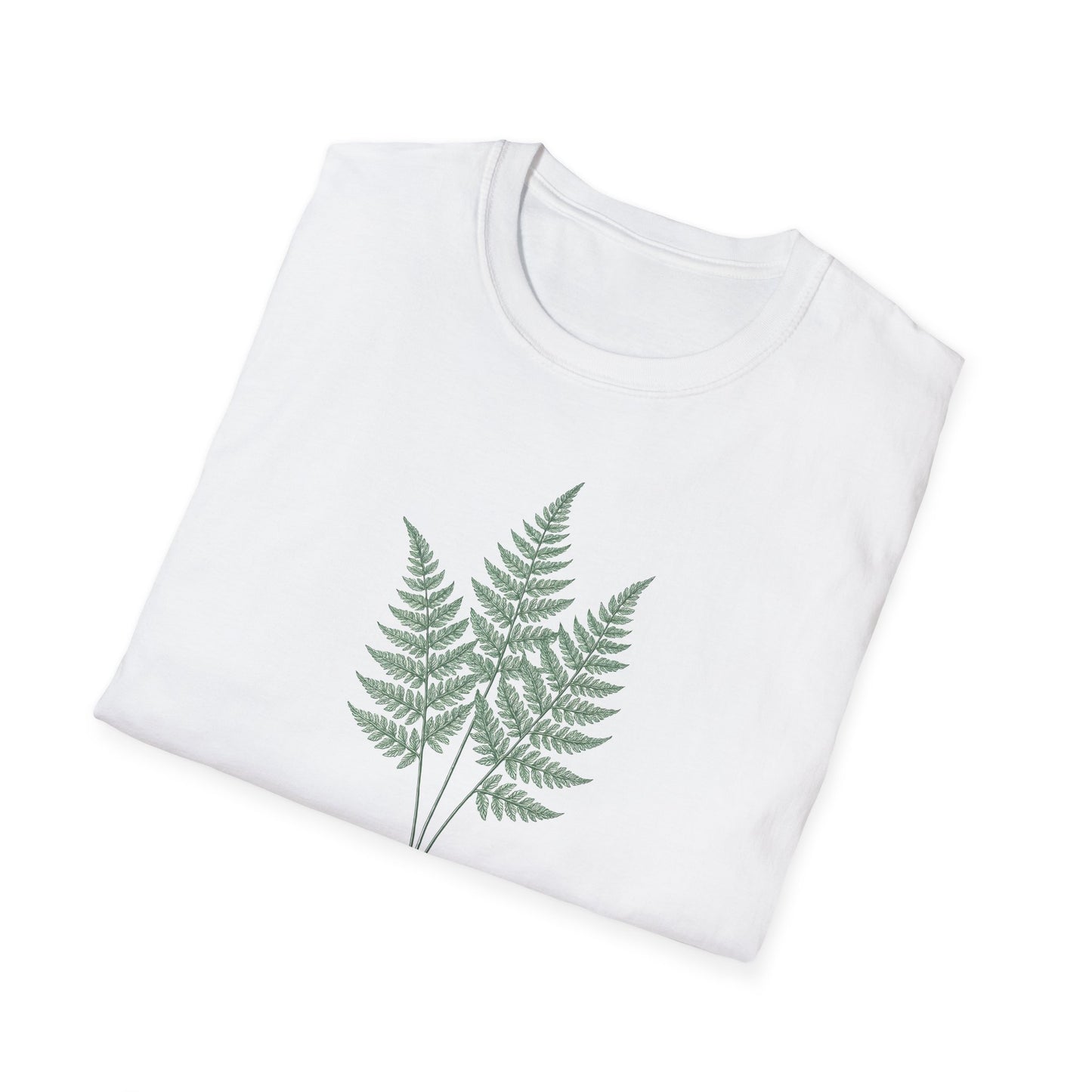 Three Fern Leaves