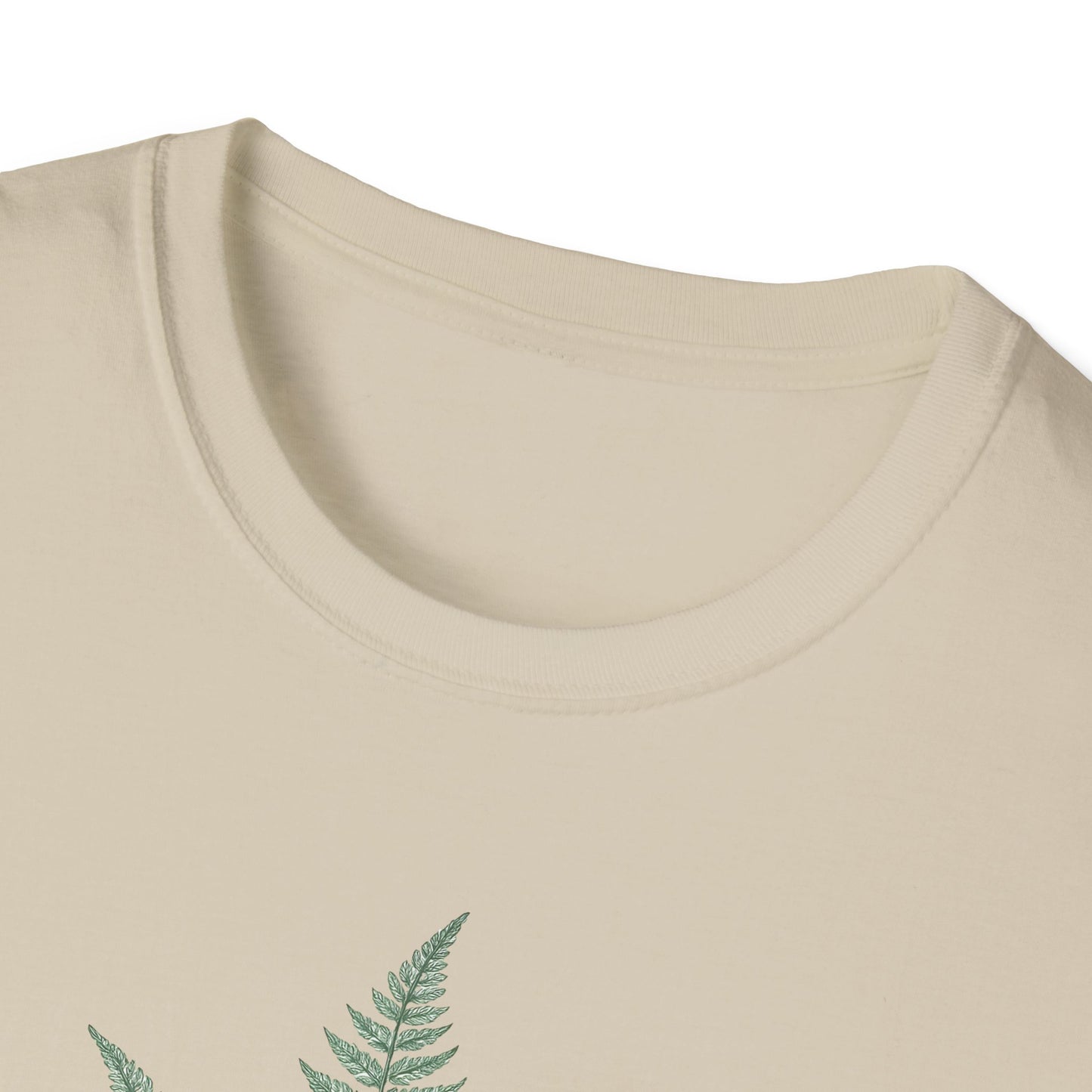Three Fern Leaves