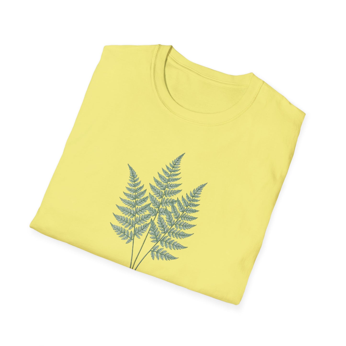 Three Fern Leaves