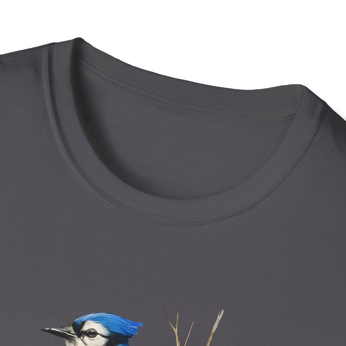 Blue Jay Portrait