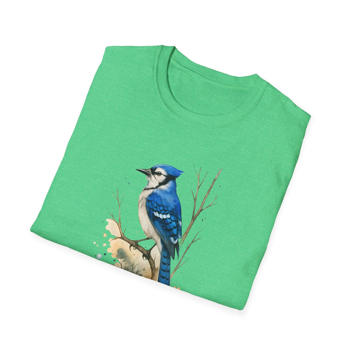 Blue Jay Portrait