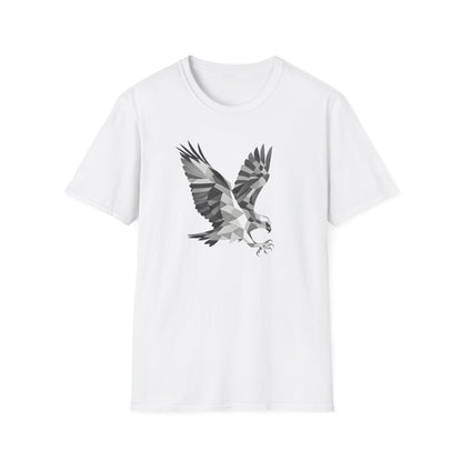 Geometric Hawk