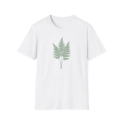 Three Fern Leaves