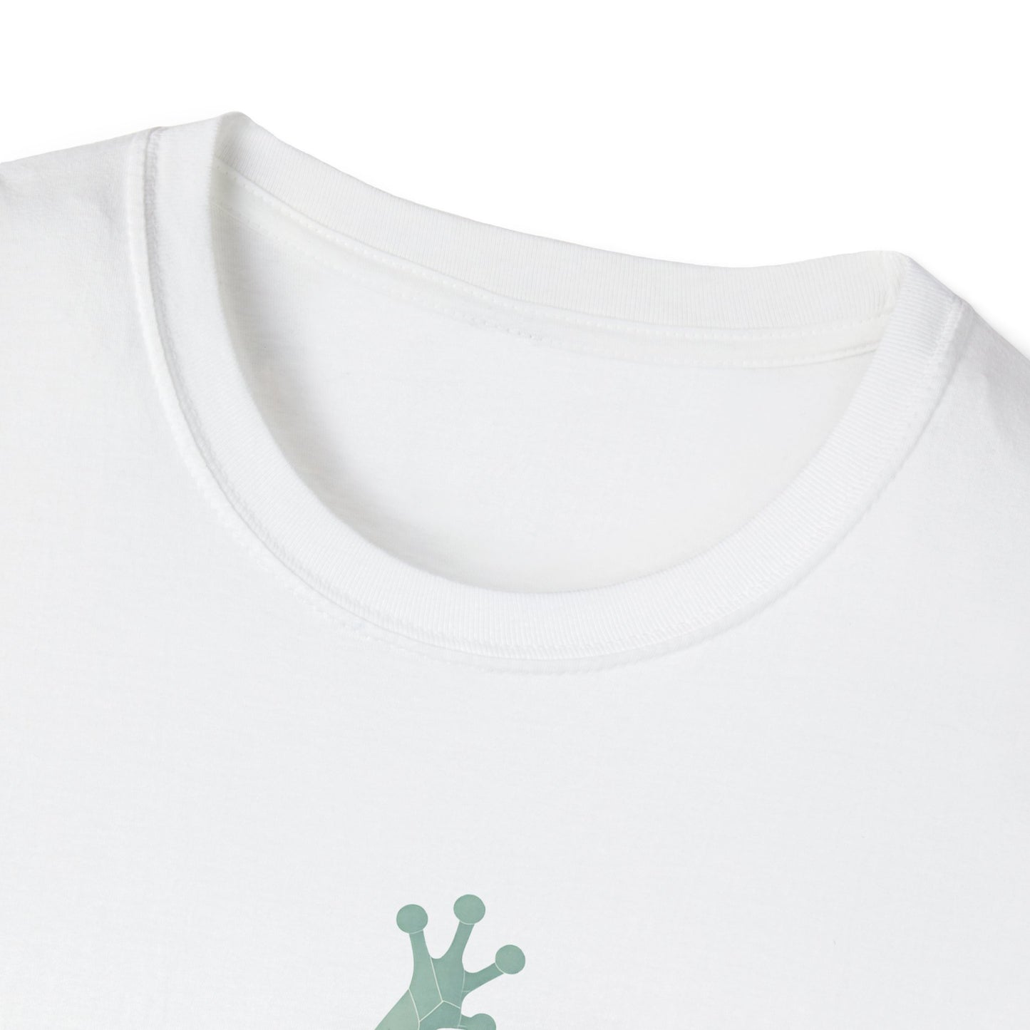 Geometric Frog Front and Back
