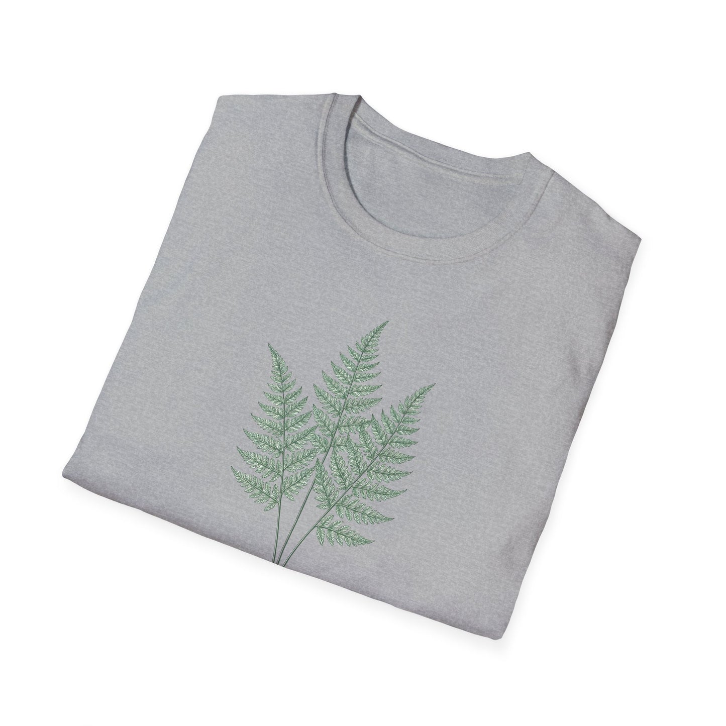 Three Fern Leaves
