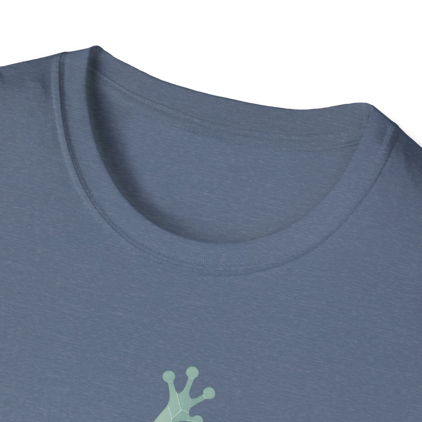 Geometric Frog Front and Back