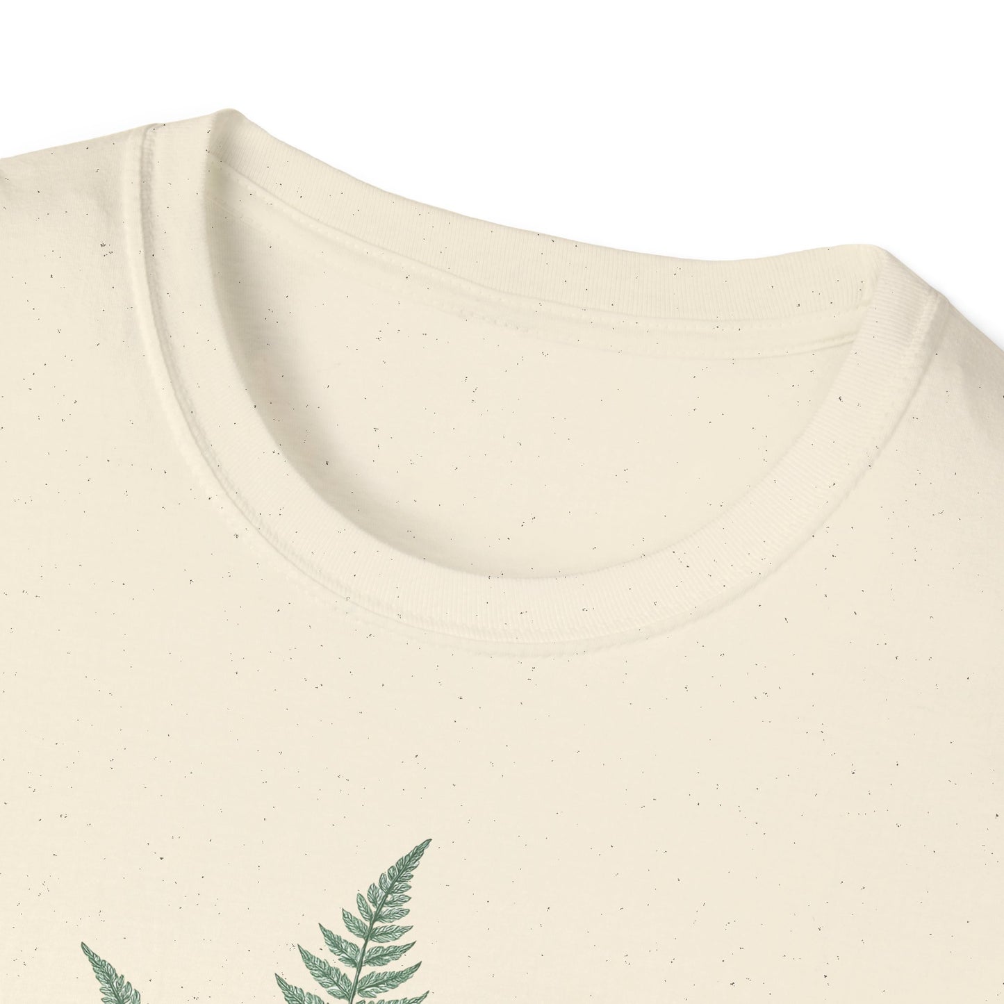 Three Fern Leaves