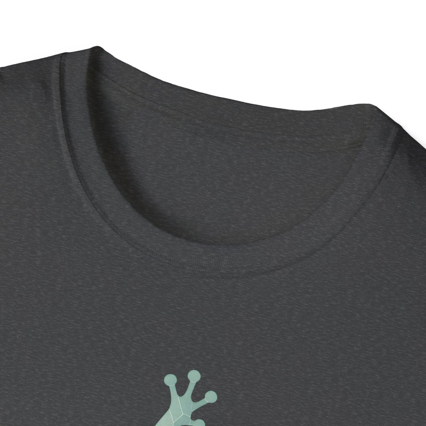 Geometric Frog Front and Back