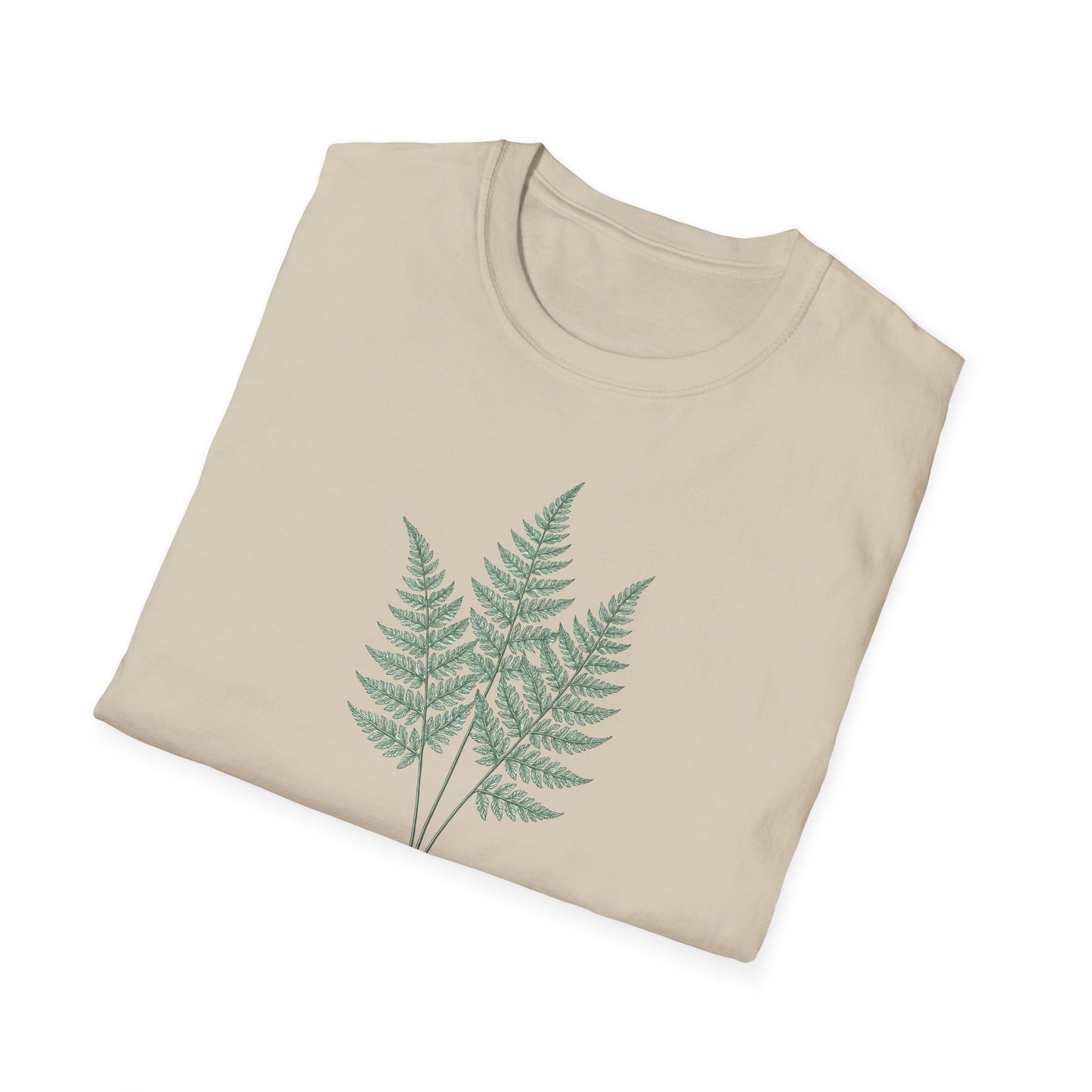 Three Fern Leaves