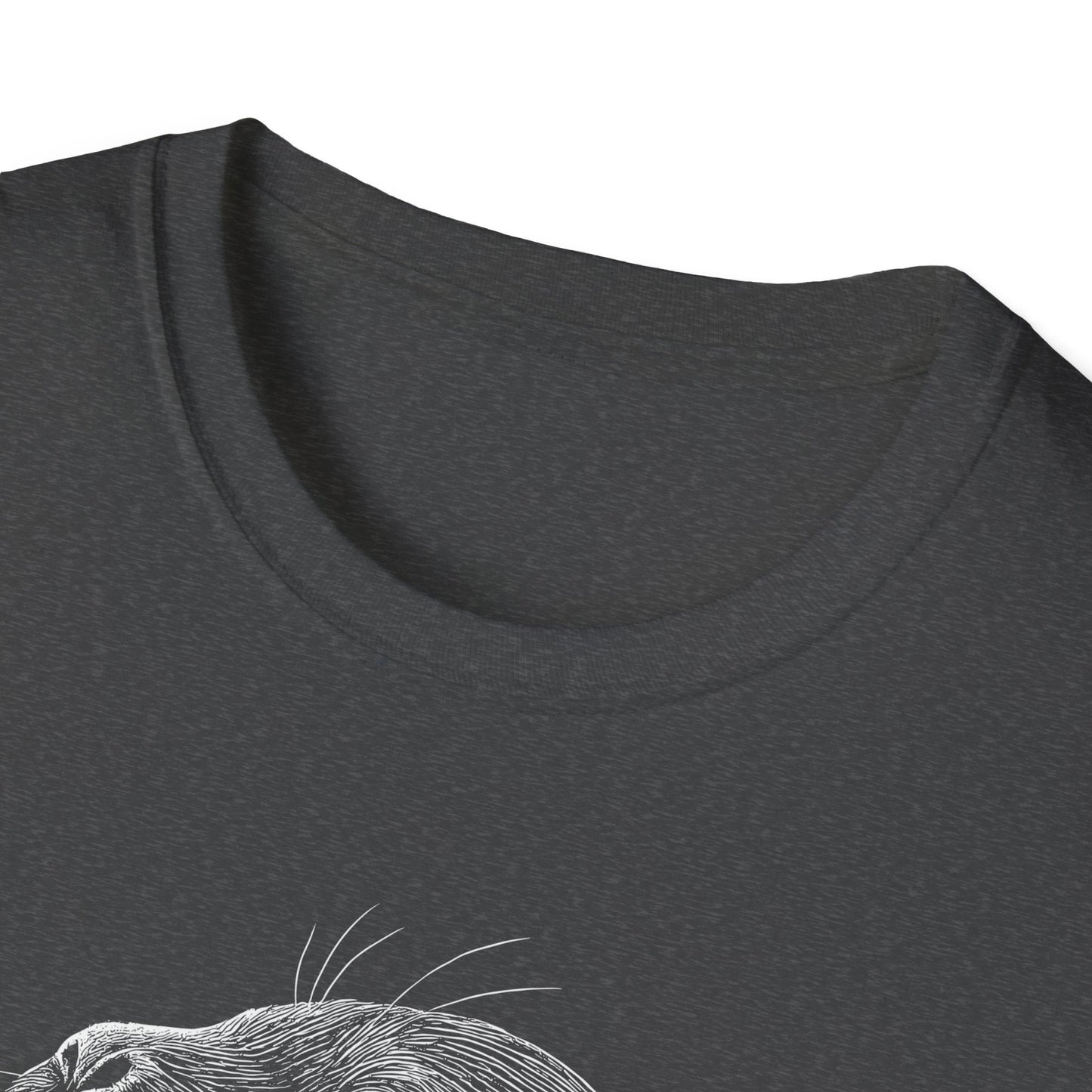 Sea Lion Portrait
