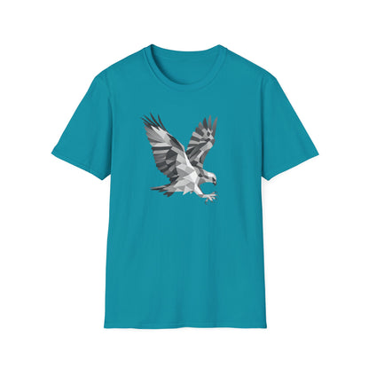 Geometric Hawk