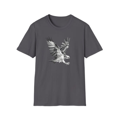 Geometric Hawk