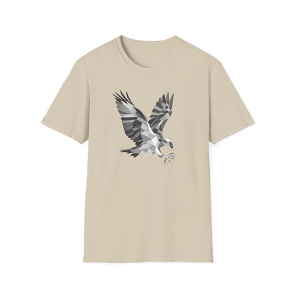 Geometric Hawk