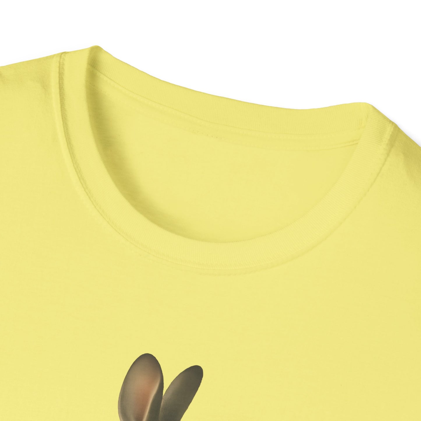 Rabbit Inner Landscape