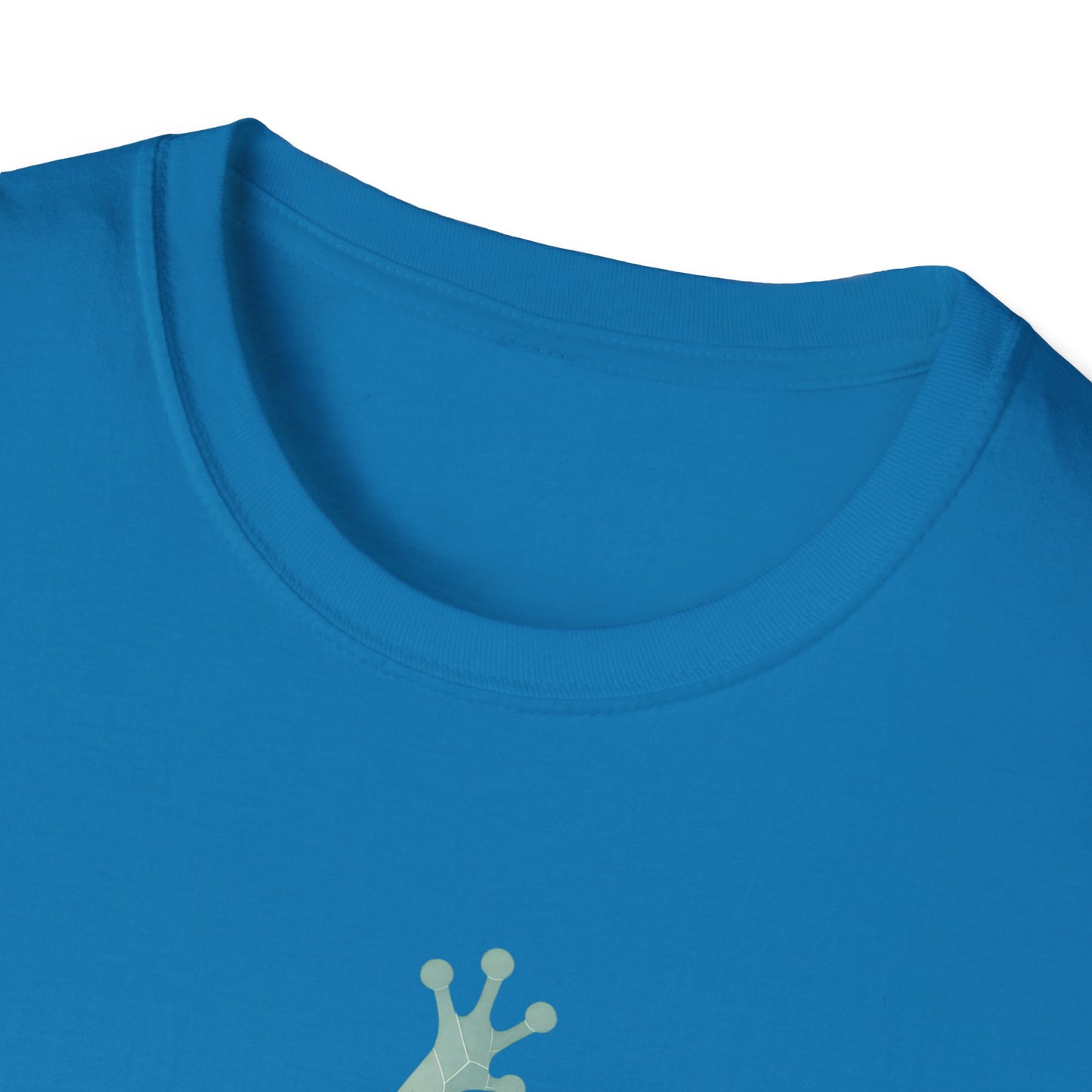 Geometric Frog Front and Back