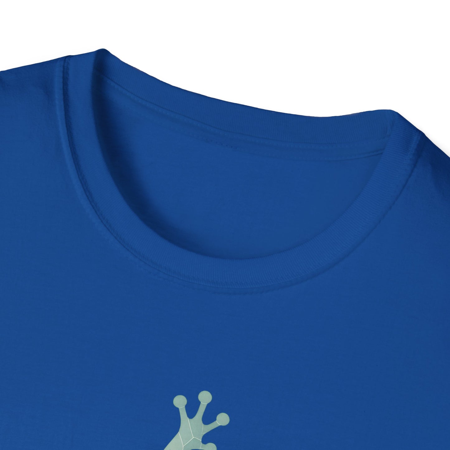 Geometric Frog Front and Back