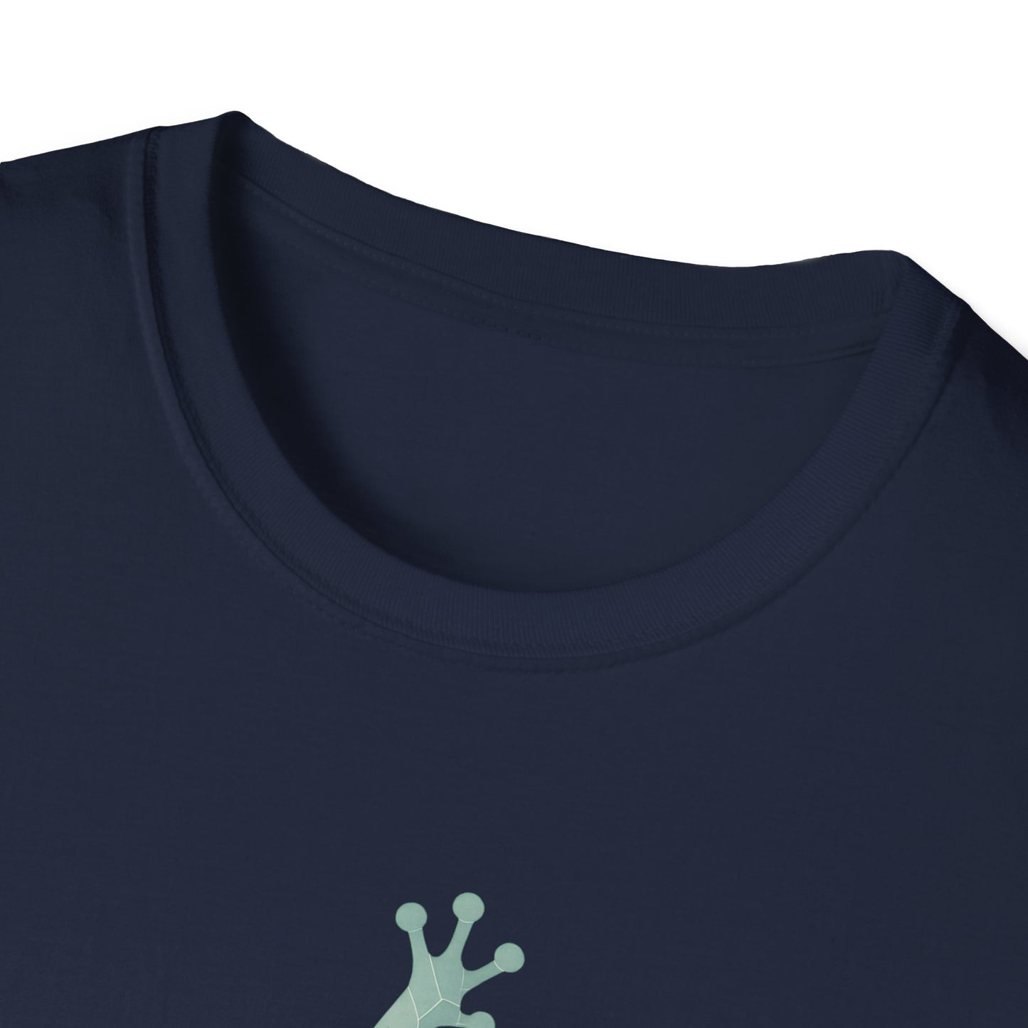 Geometric Frog Front and Back