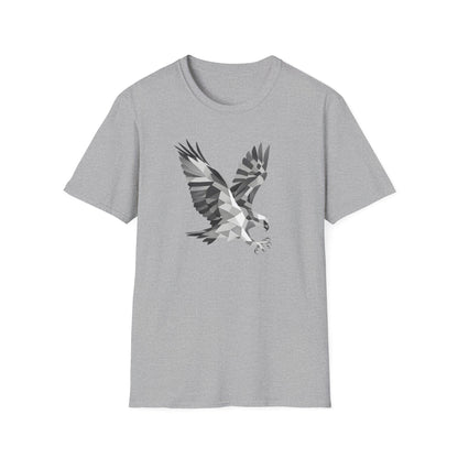 Geometric Hawk