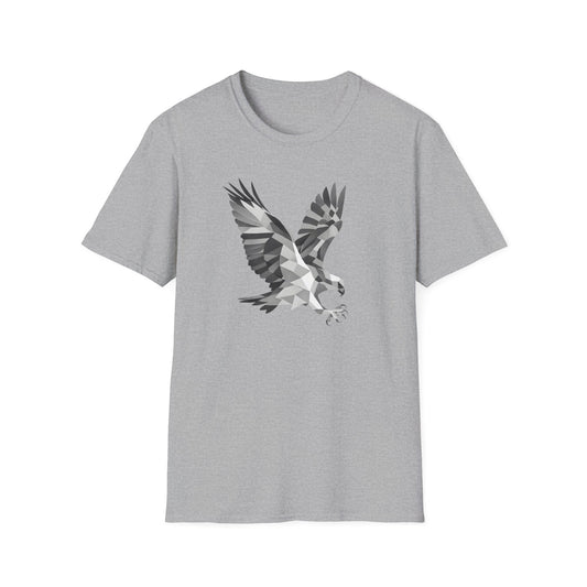 Geometric Hawk