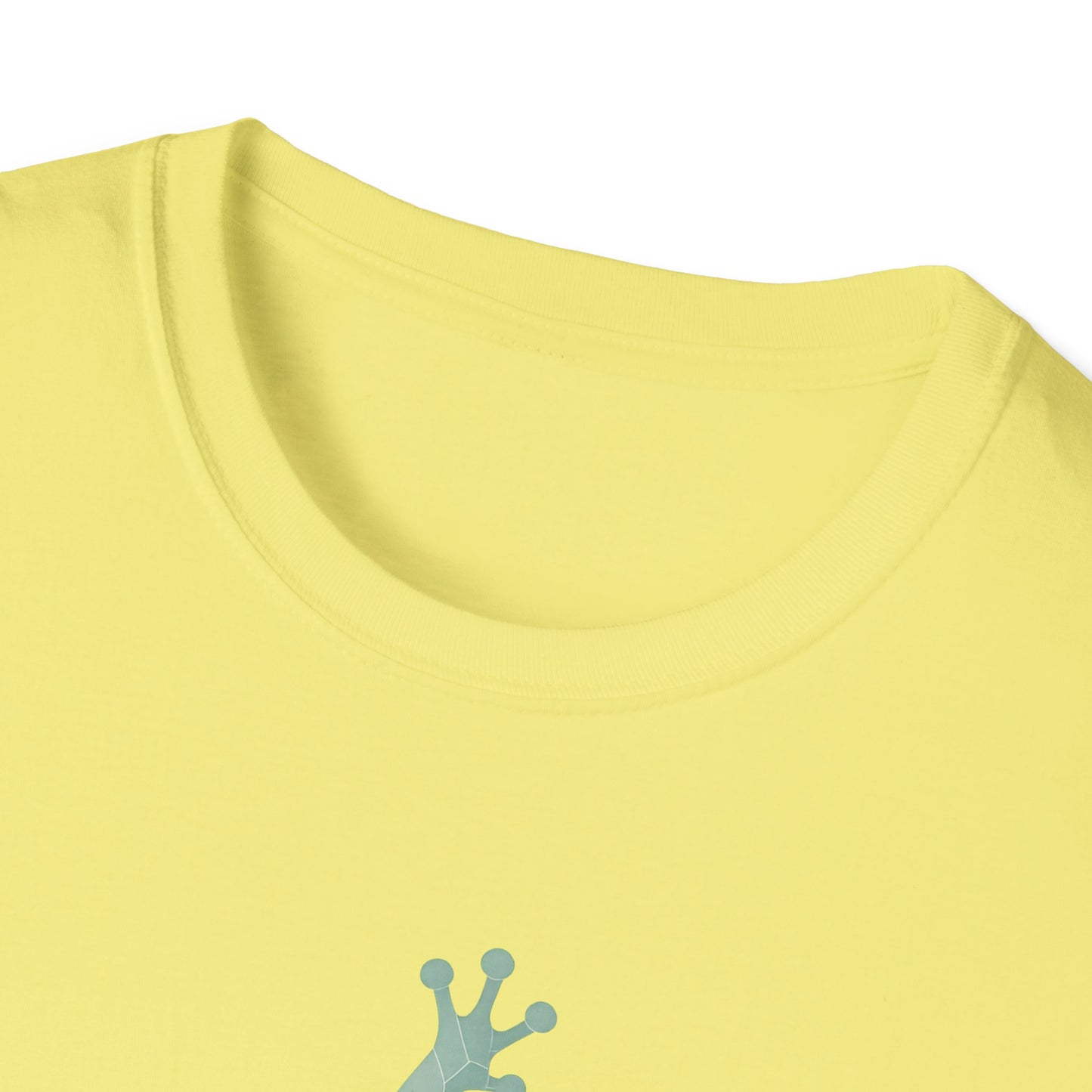 Geometric Frog Front and Back