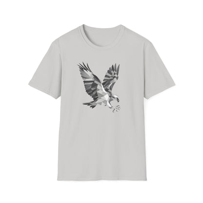 Geometric Hawk