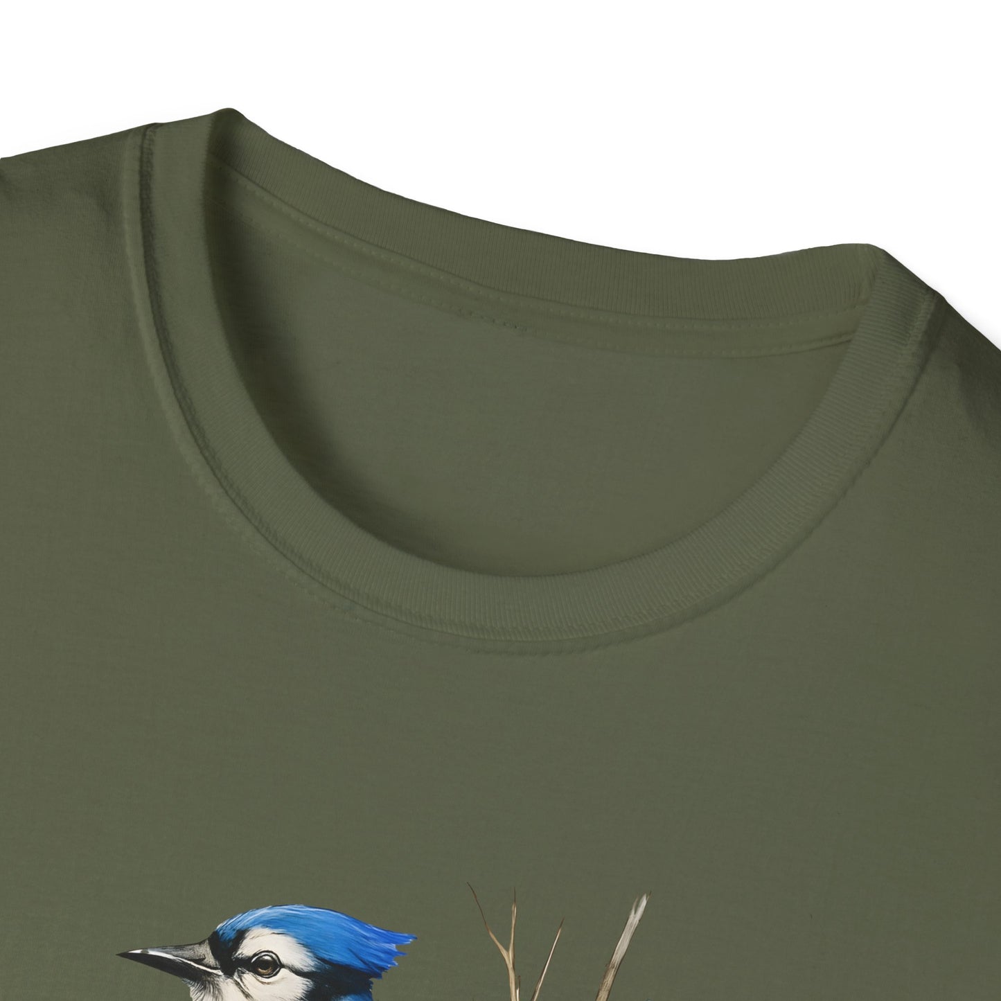 Blue Jay Portrait