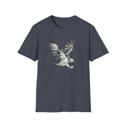 Geometric Hawk
