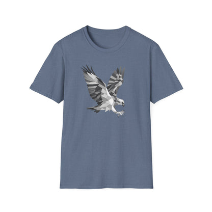 Geometric Hawk
