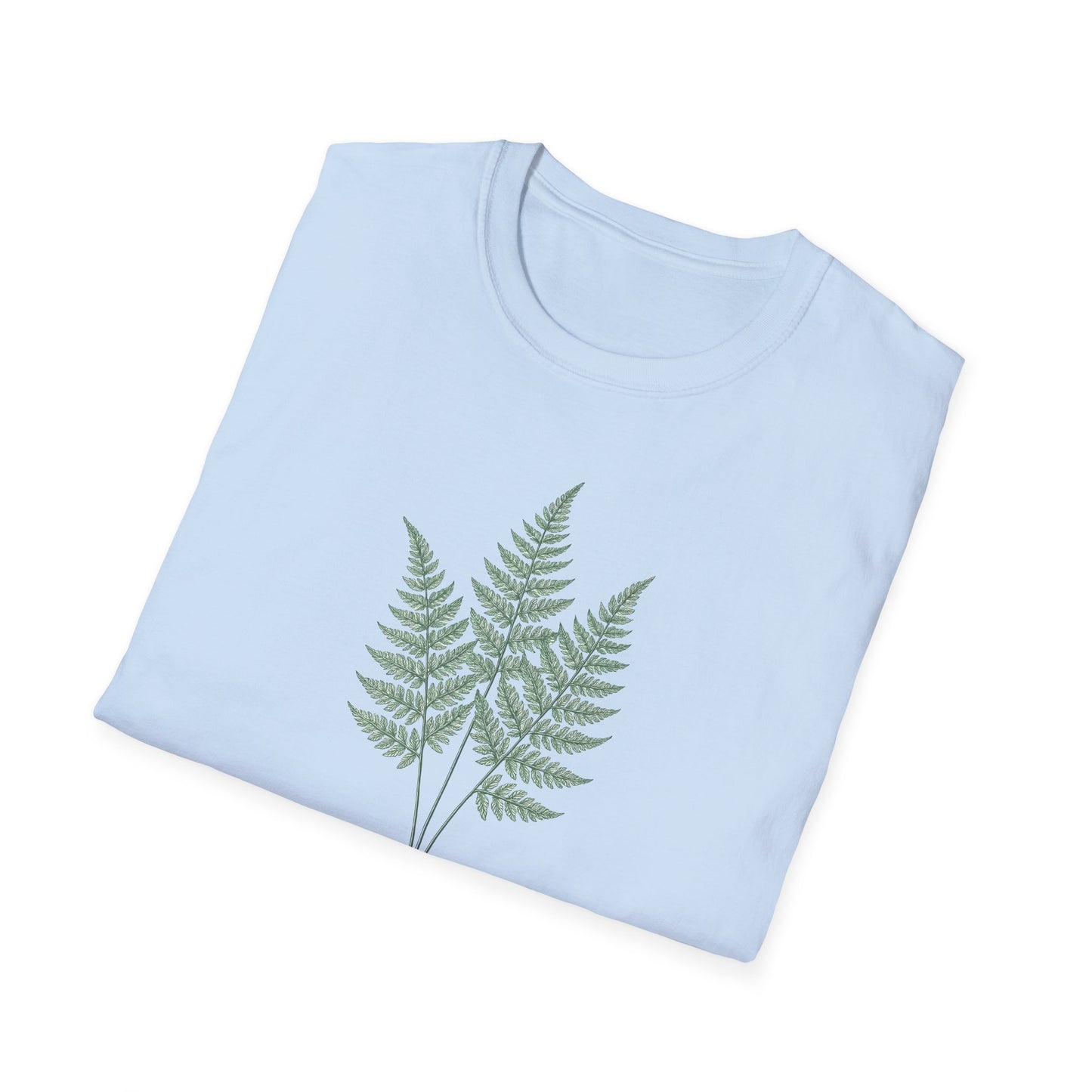 Three Fern Leaves