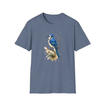 Blue Jay Portrait