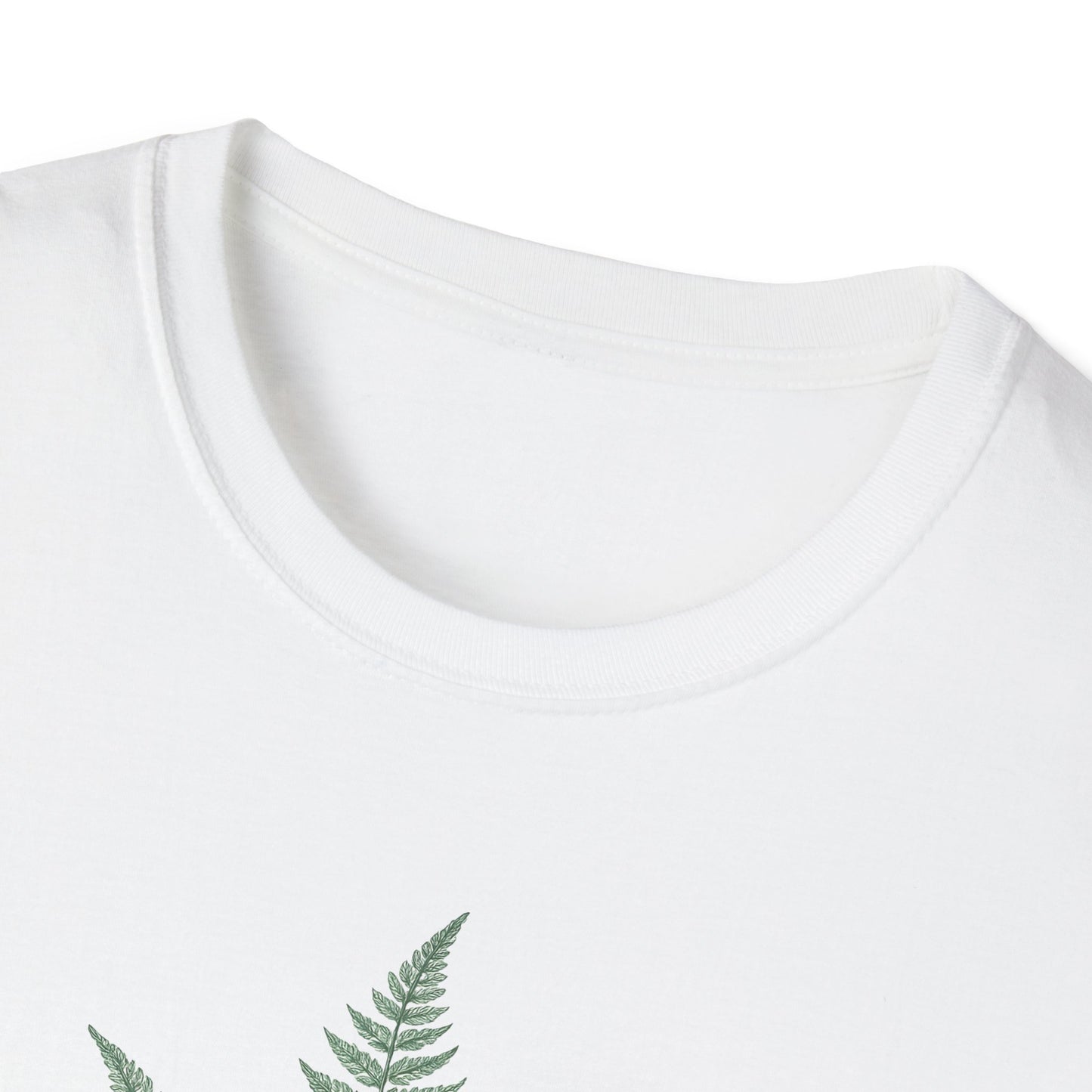 Three Fern Leaves