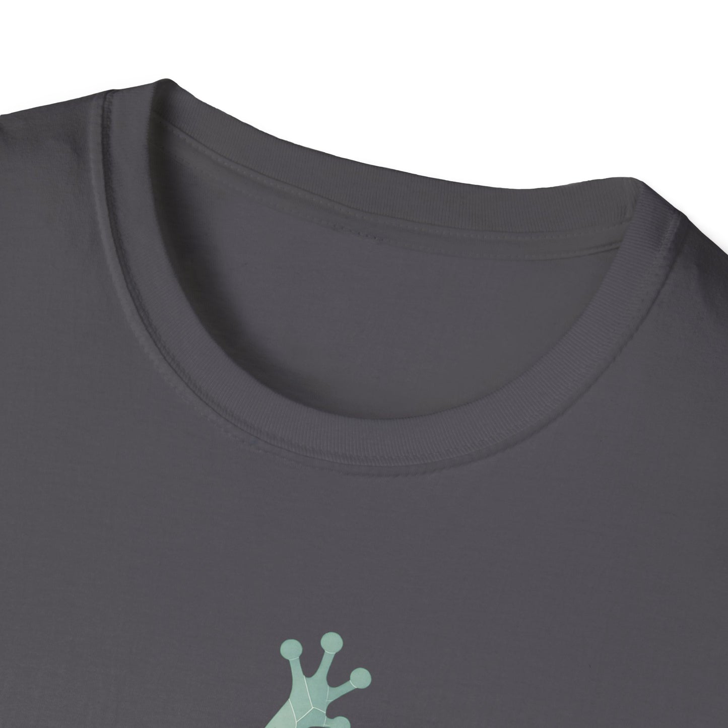 Geometric Frog Front and Back