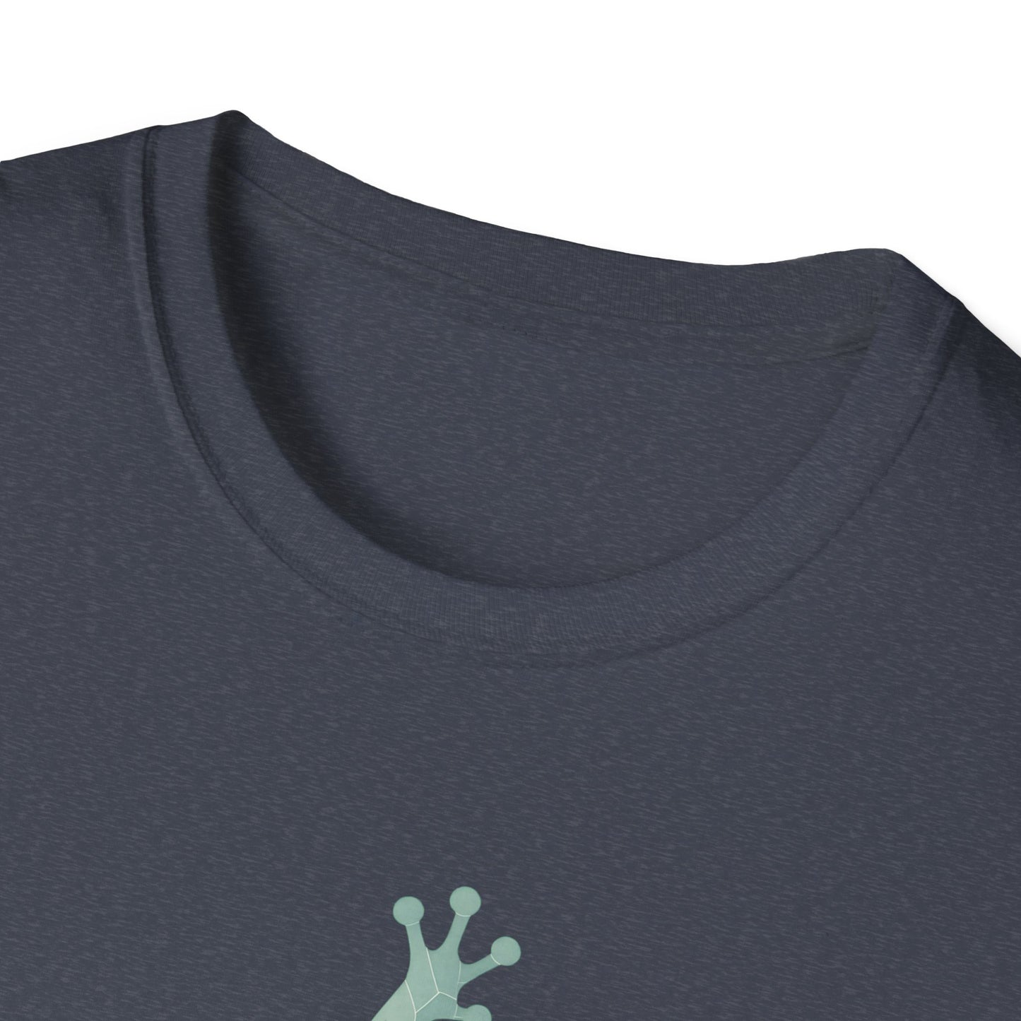 Geometric Frog Front and Back