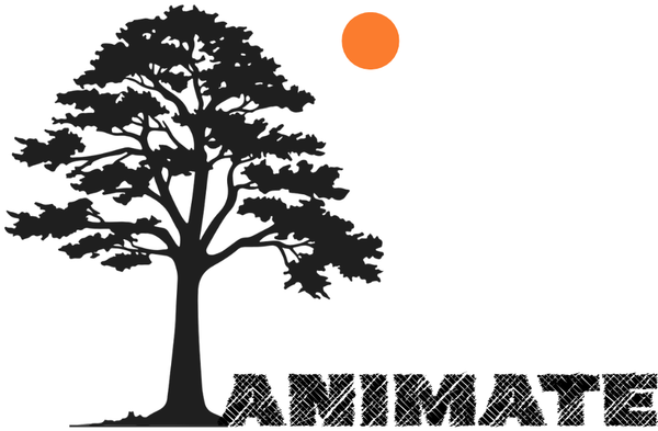 ANiMATE Clothing
