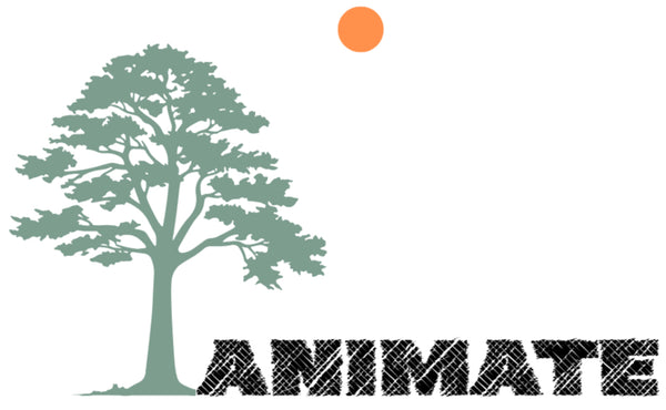 ANIMATE